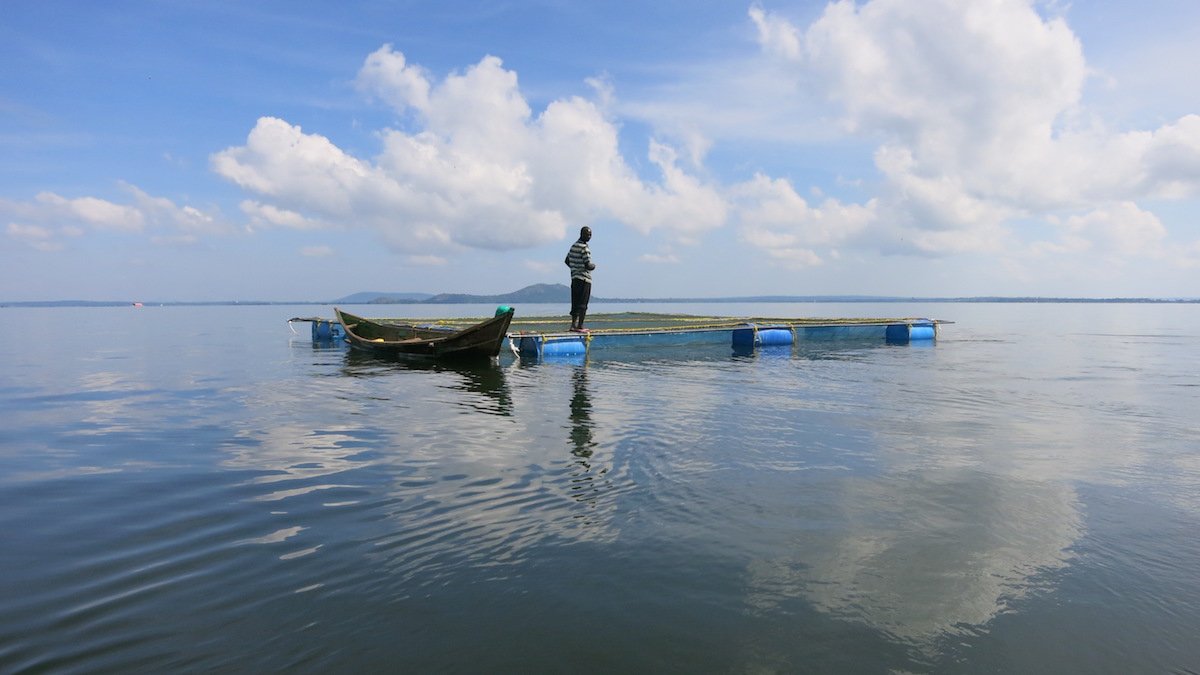 Aquaculture <span style=color:#bf2126;>Fishing</span>